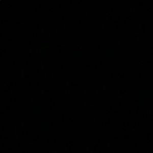 Meet your Posher, Maddy